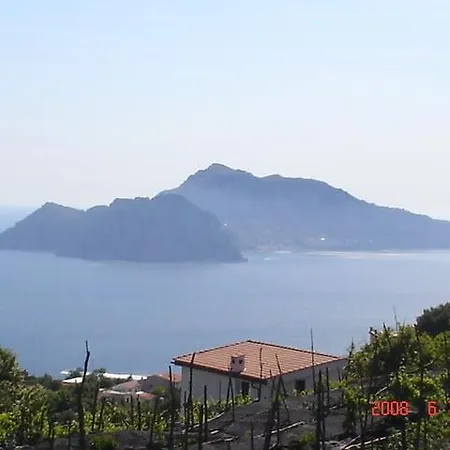 Il Petrale